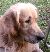 Ozz�k