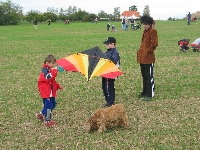 Drakiáda 2007